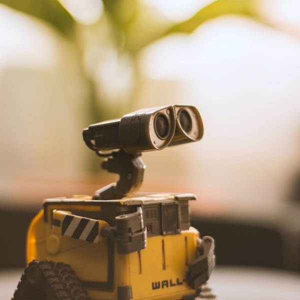 AI AI